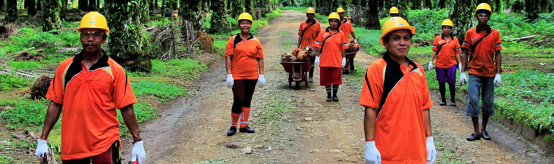 Corporate Services - AEP Nusantara Plantations