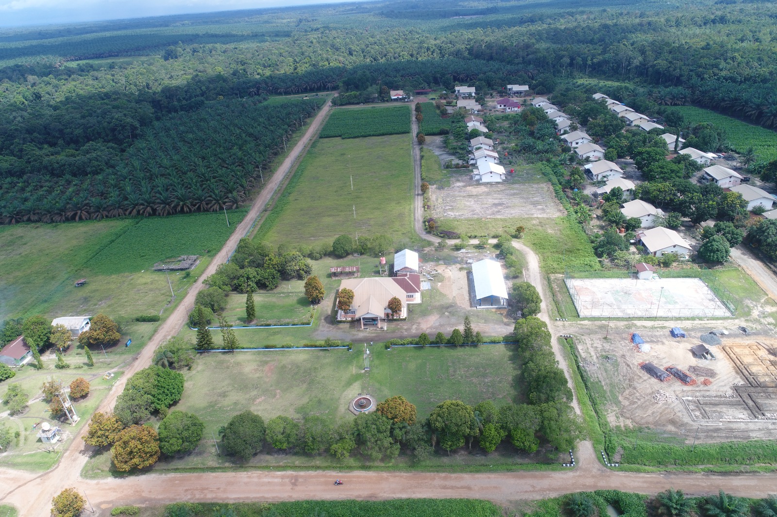 Company Information - AEP Nusantara Plantations