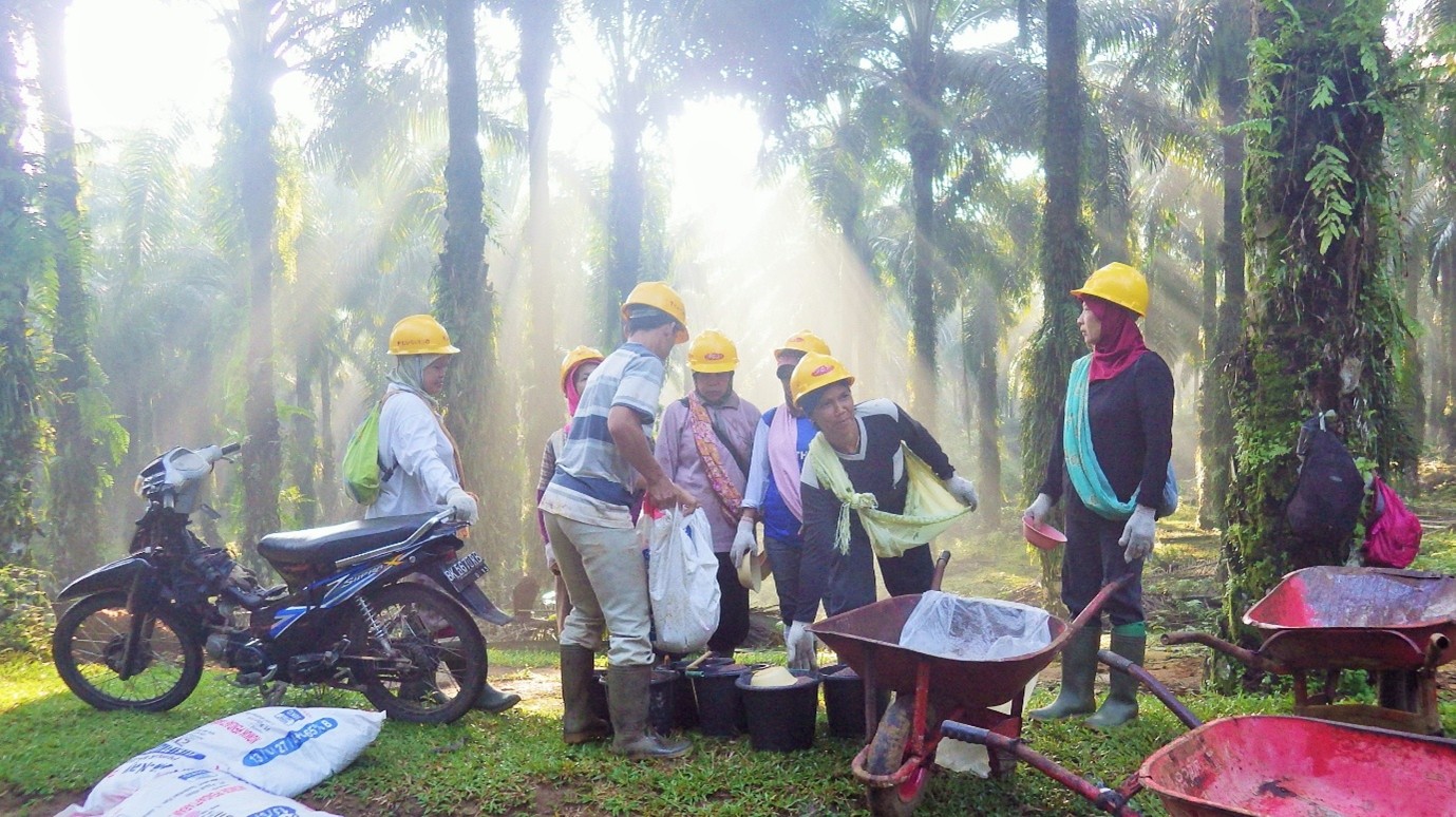 Agricultural Operations - Manuring