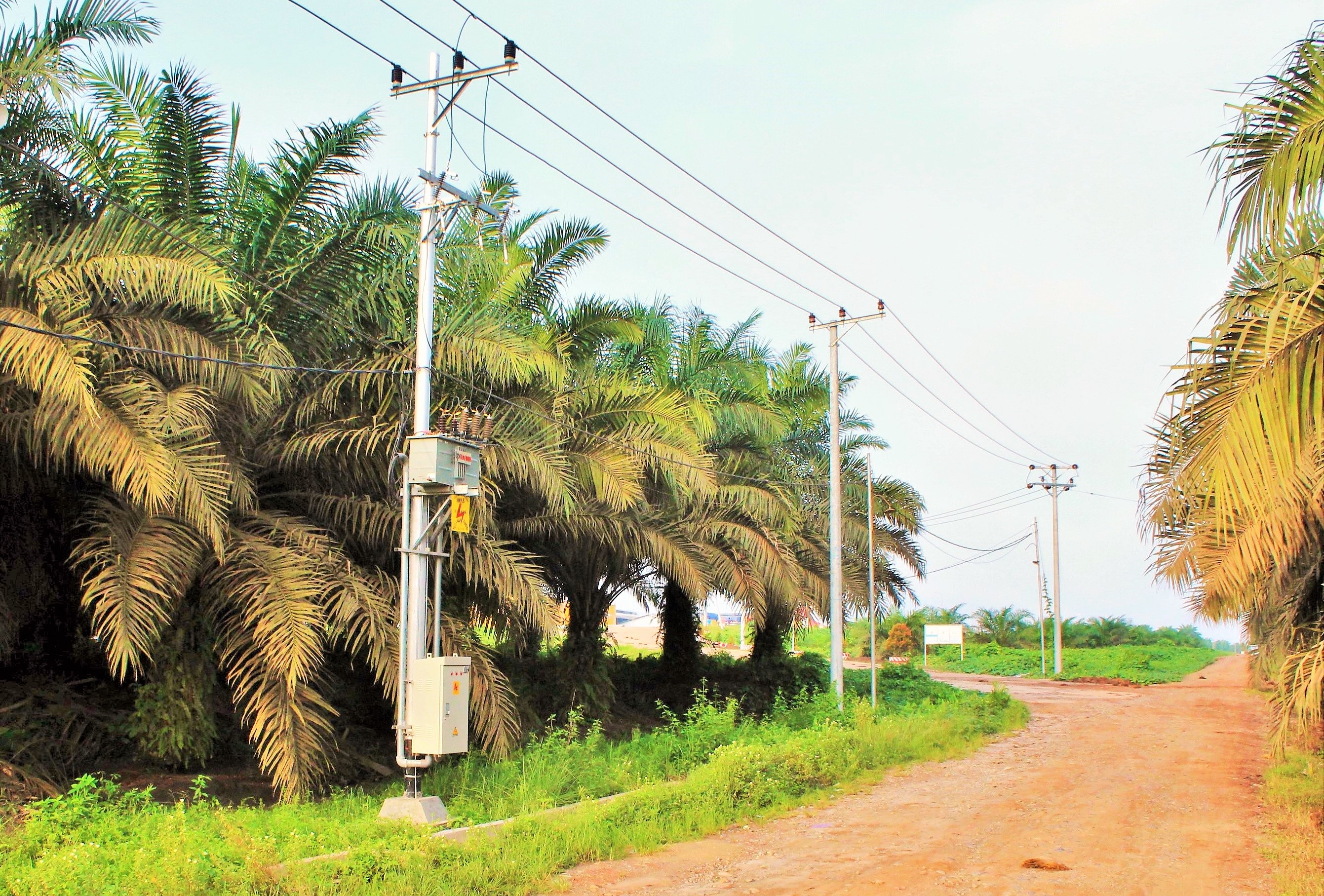 Power Lines at PT AEPNP