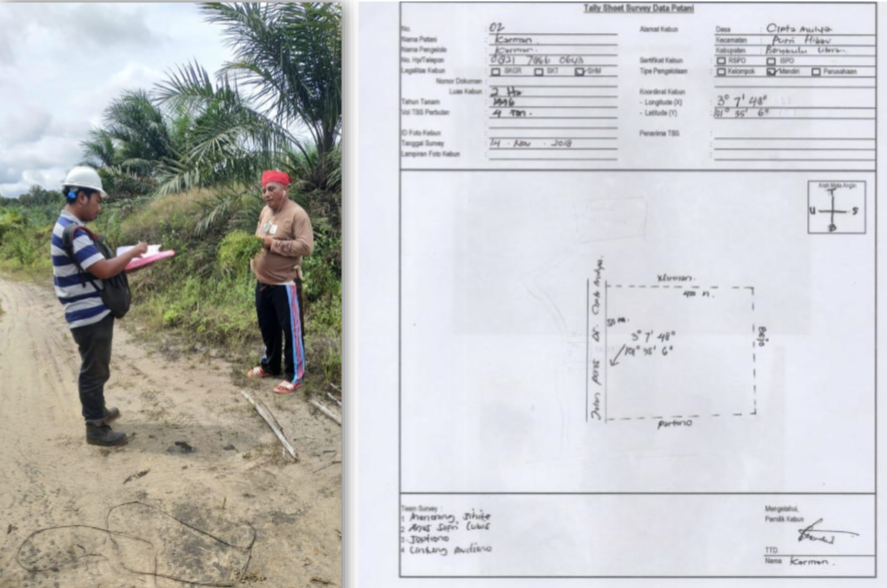 Traceability Dashboard - AEP Nusantara Plantations