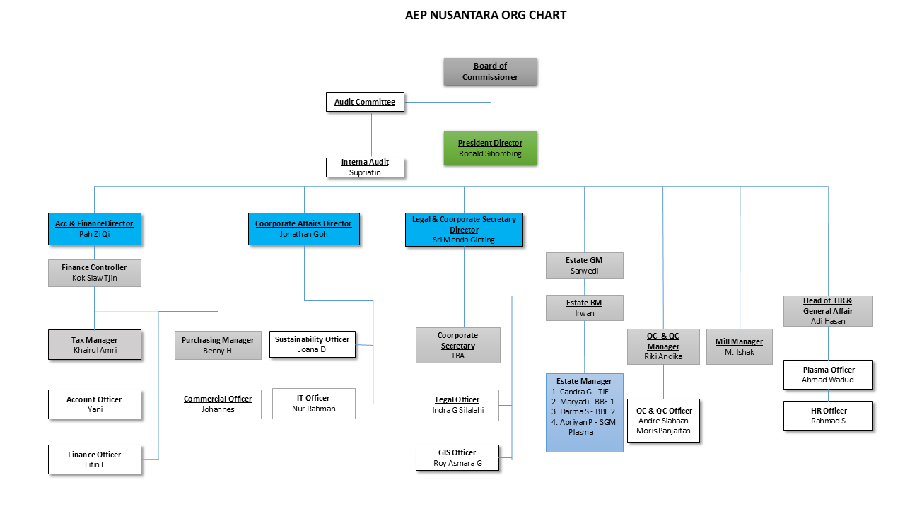 AEP Nusantara Plantations Organizational Structure