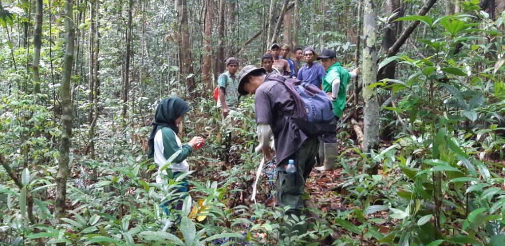 HCS Assessment Being Conducted at PT KAP